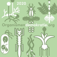 https://www.clubreal.de:443/files/gimgs/th-1_20InstaWebOrgwerb Kopie.jpg